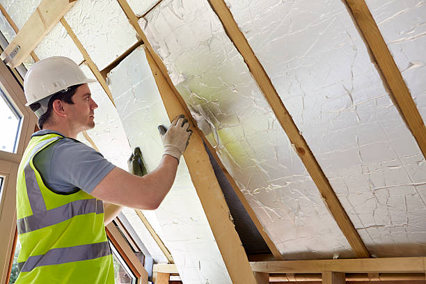 Insulation Replacement Services in Smiths Station, AL