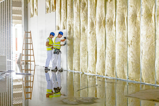 Garage Insulation Installation in Smiths Station, AL